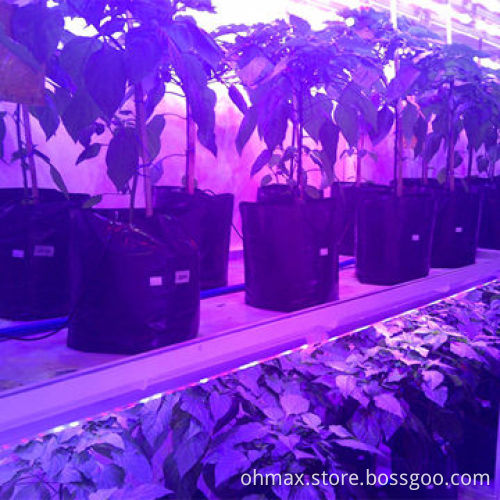 T8 tube LED, plant growth lamp, 36W, to replace traditional fluorescent light, for indoor vegetables
